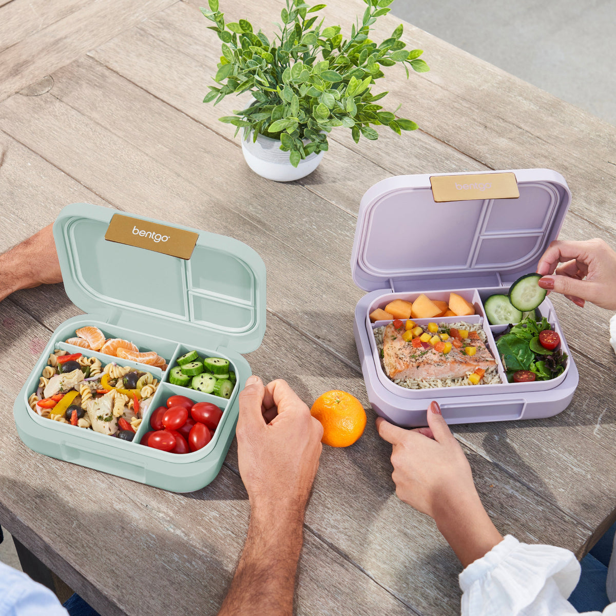 bentgo-modern-lunch-box-2-pack-u5 COSTCOBMCPRODUCTIMAGE_2.jpg